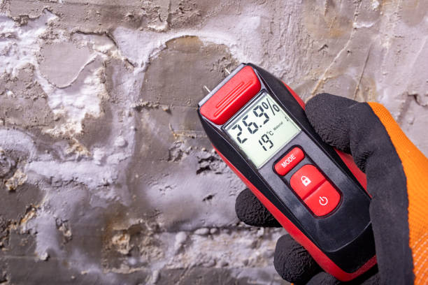 Best Health and Safety Mold Remediation in National City, CA