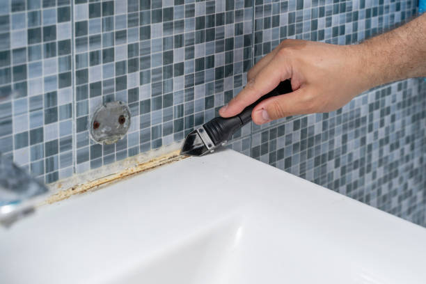 Best Mold Remediation for Specific Building Types in National City, CA